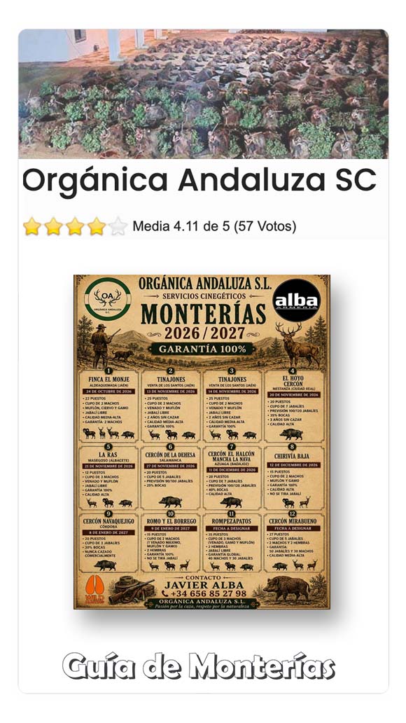 Programas de Monterias